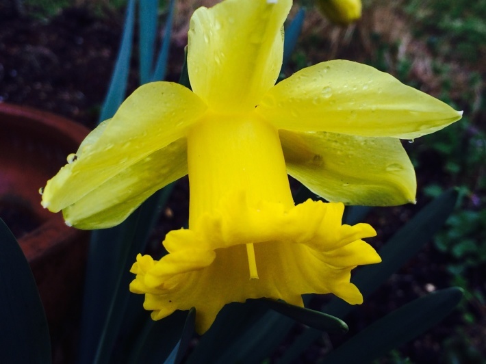 f0201297_16421758.jpg