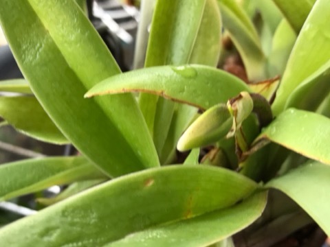 e0181901_15161415.jpg