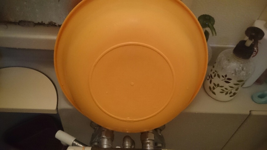 d0149105_7374440.jpg