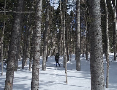 e0340305_21144419.jpg