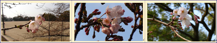 f0231709_0083.png
