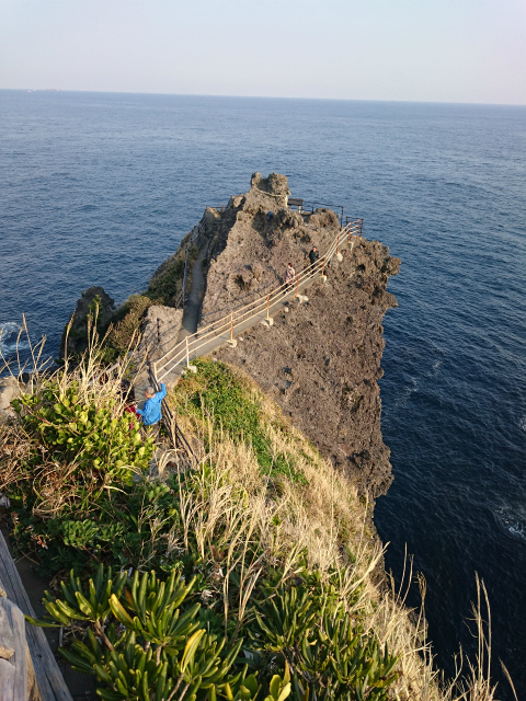 f0100911_23113948.jpg