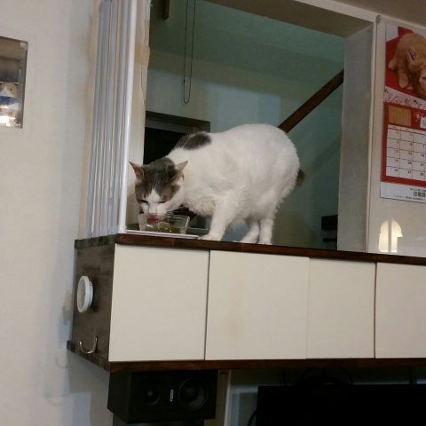 e0144012_09271172.jpeg