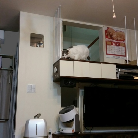 e0144012_09274495.jpeg
