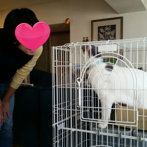 e0144012_09303739.jpeg