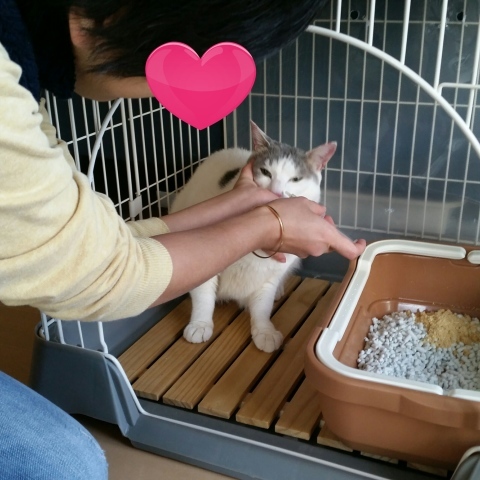 e0144012_09334454.jpeg