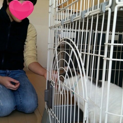e0144012_09355973.jpeg
