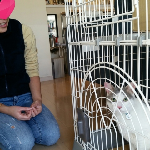 e0144012_09363641.jpeg