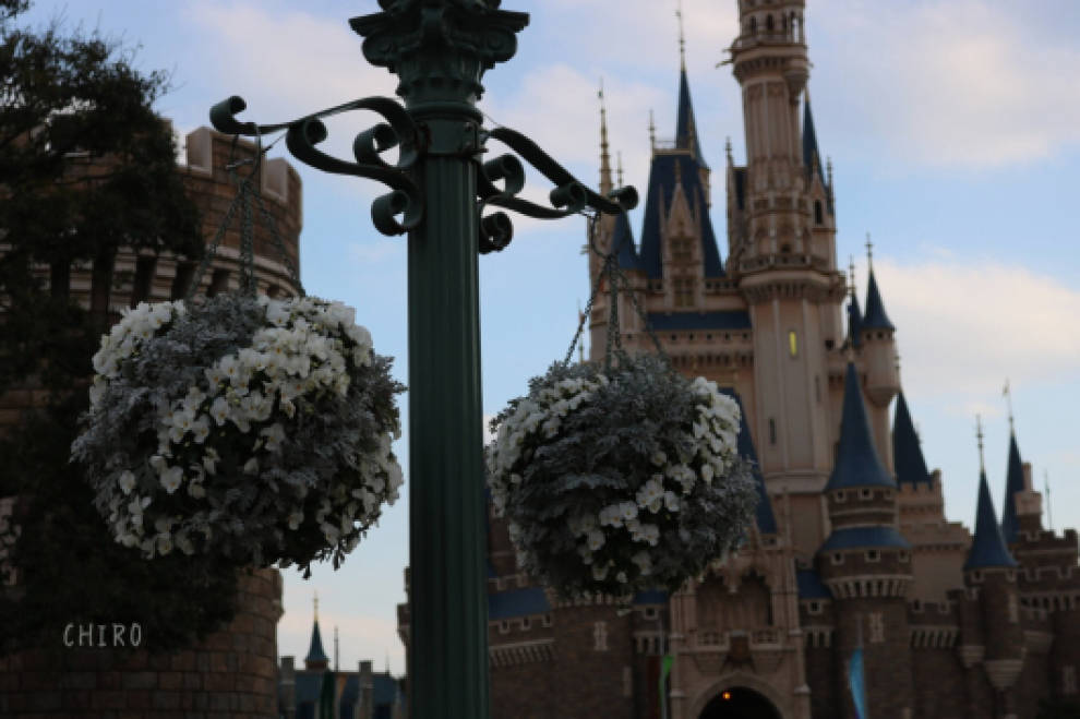 f0293522_11480780.jpg