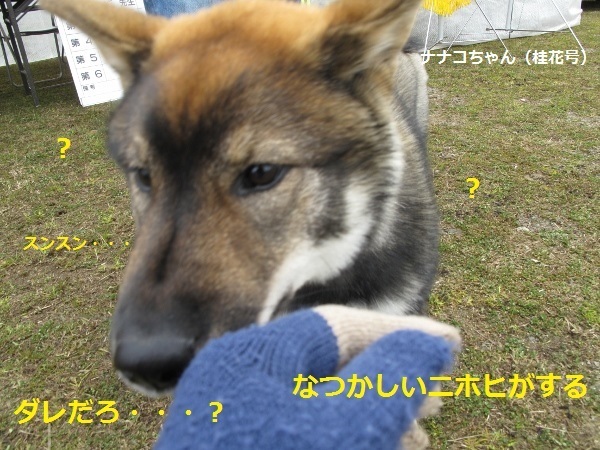 f0143123_09570060.jpg