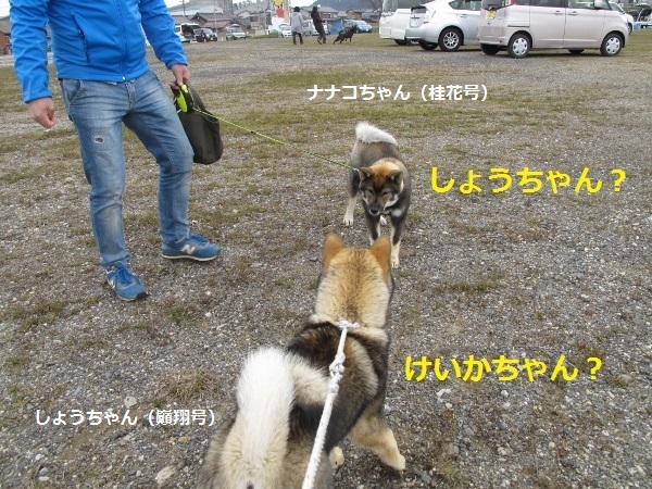 f0143123_10041404.jpg