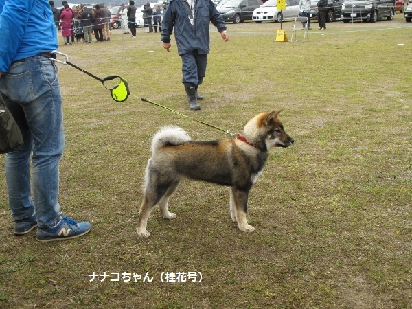 f0143123_10044551.jpg