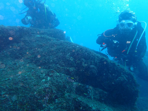 d0164831_18201363.jpg
