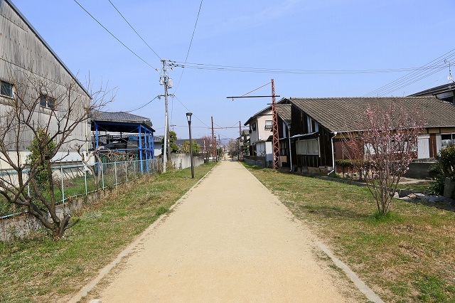 a0242438_20070394.jpg