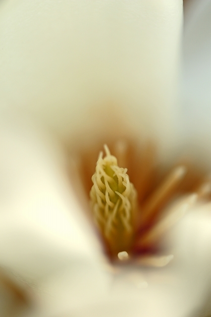 a0242438_20090655.jpg