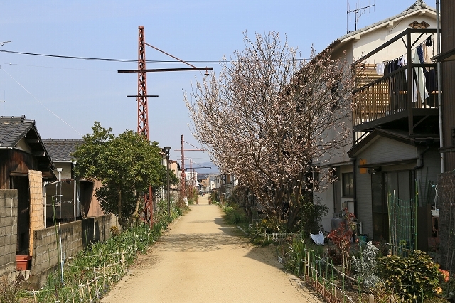 a0242438_20100215.jpg