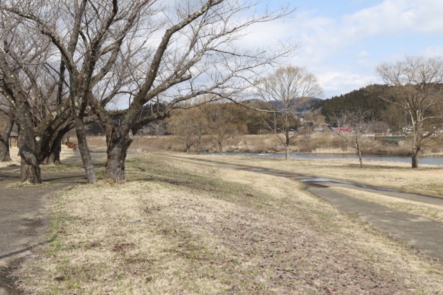 b0031538_23332890.jpg