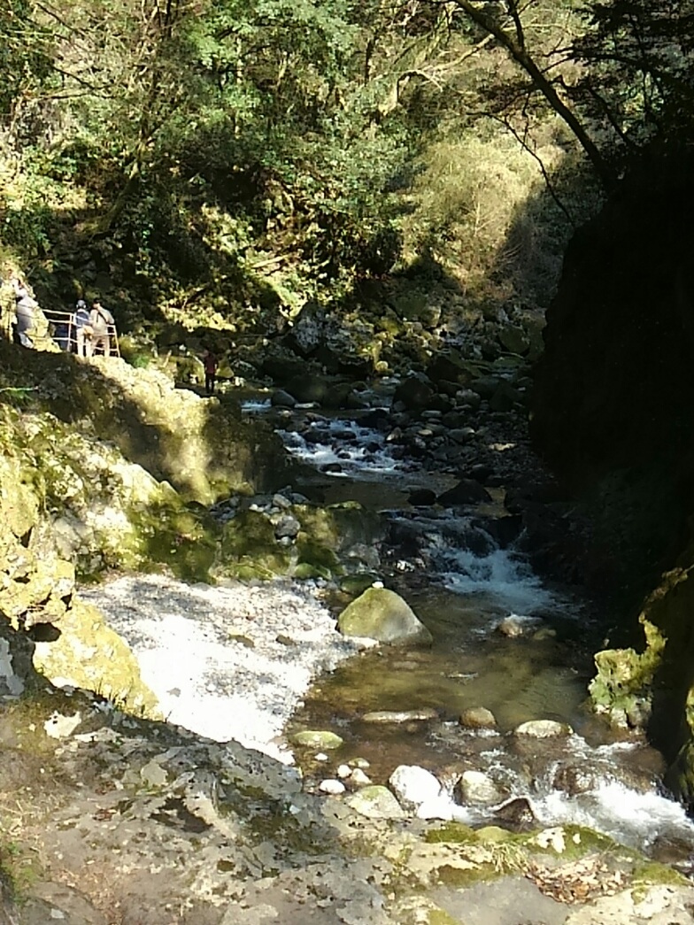 d0244839_12560114.jpg