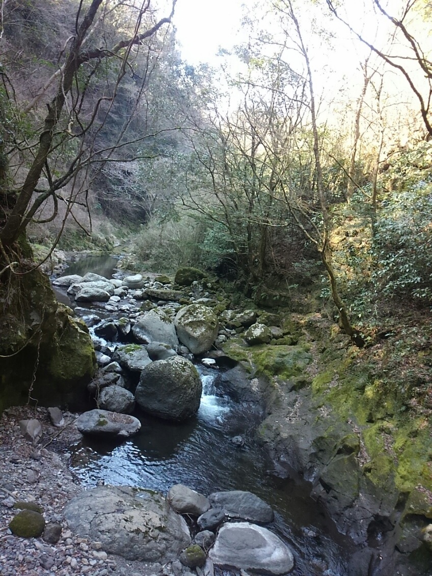 d0244839_12560932.jpg