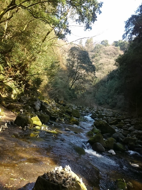 d0244839_13010266.jpg