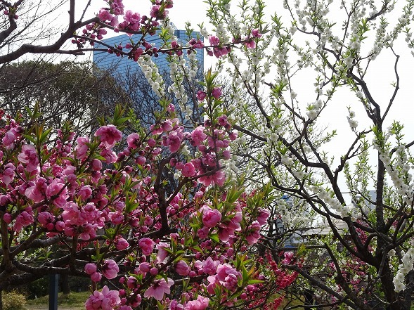 b0299042_19350848.jpg