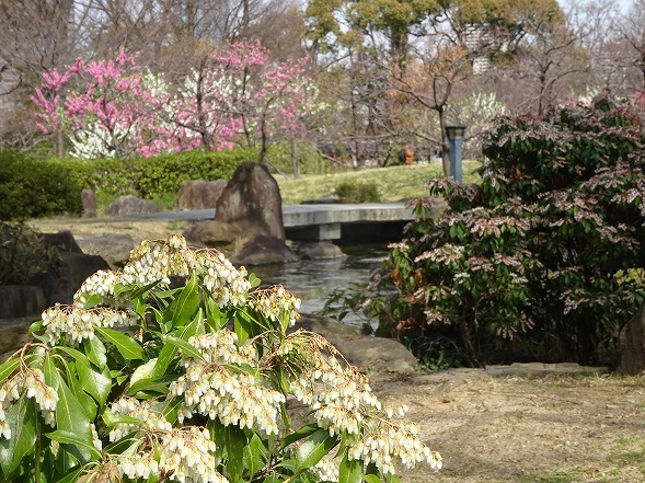 b0299042_19362911.jpg