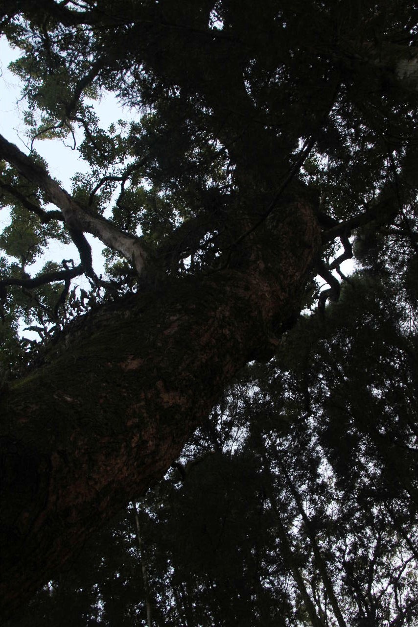 c0011649_7323960.jpg