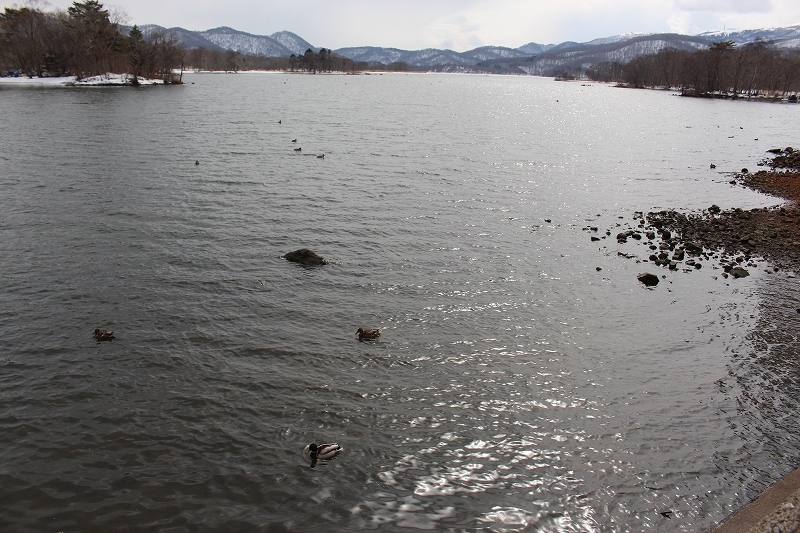 b0250154_06162384.jpg