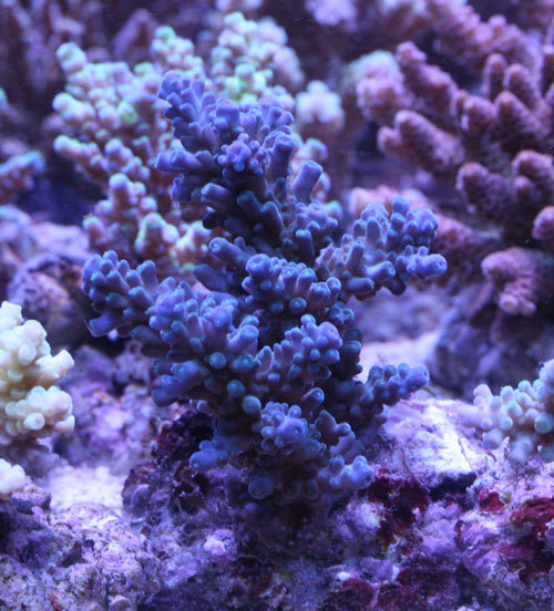 c0165758_01113119.jpg