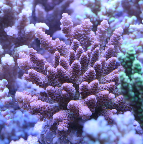 c0165758_01115518.jpg
