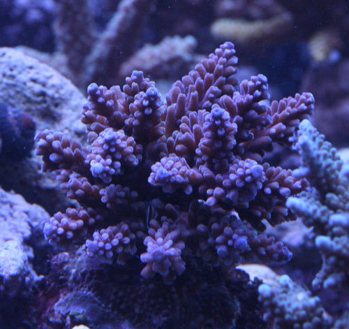 c0165758_01121706.jpg
