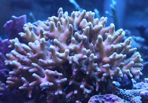 c0165758_01131563.jpg