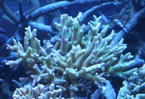 c0165758_01132053.jpg
