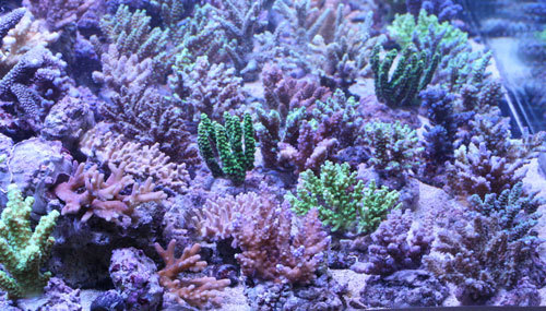 c0165758_01140108.jpg