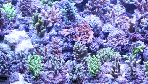 c0165758_01140808.jpg