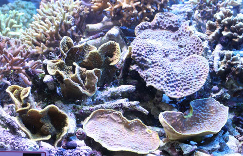 c0165758_01141376.jpg