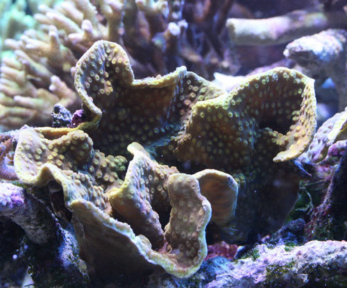 c0165758_01144292.jpg