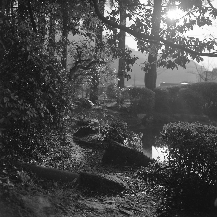 e0264158_12342700.jpg