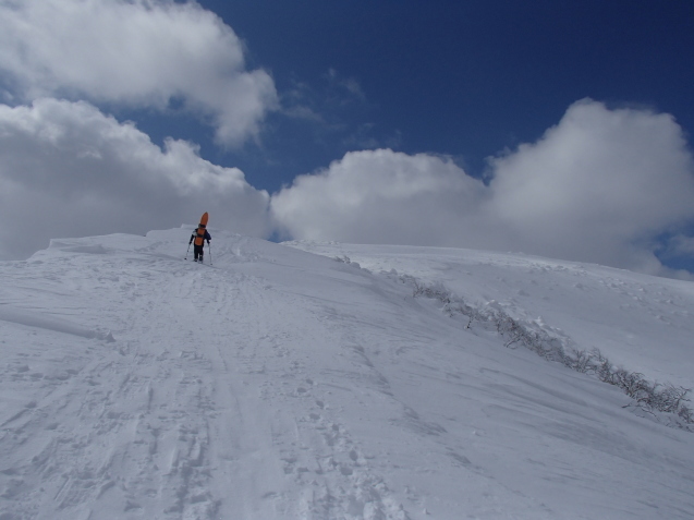 f0130376_20124958.jpg
