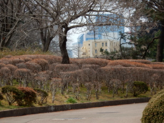 e0355177_14144201.jpg