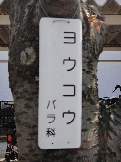 f0238779_15595980.jpg