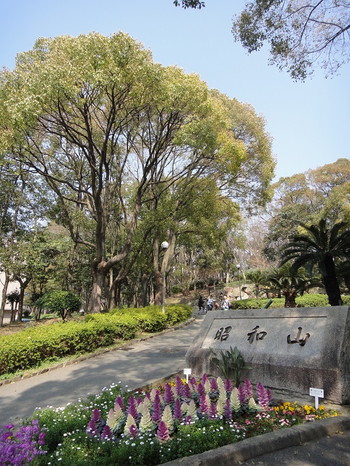 f0238779_1612814.jpg