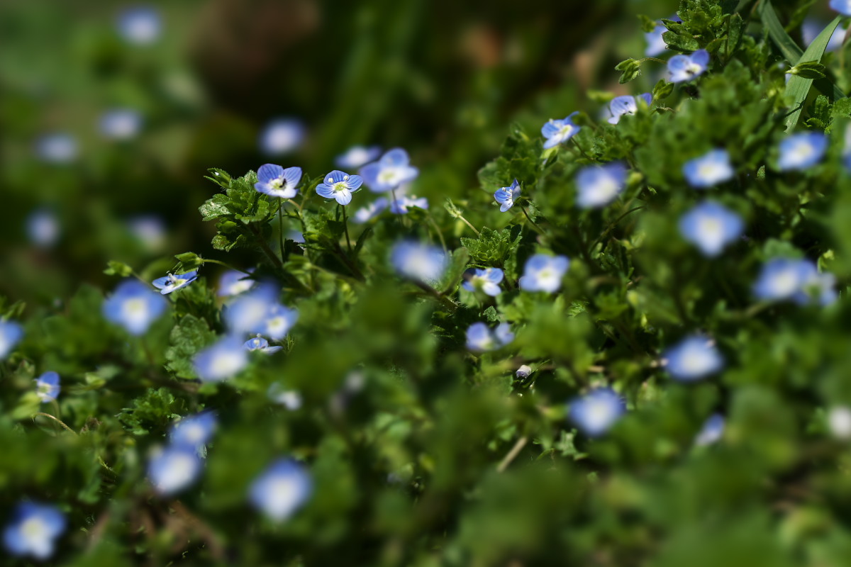 a0083081_17481492.jpg