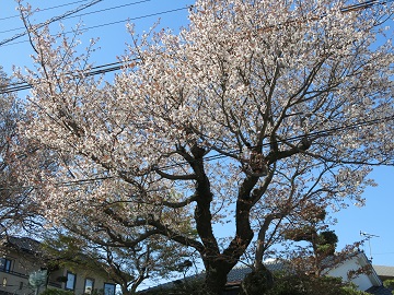 e0130185_19103257.jpg