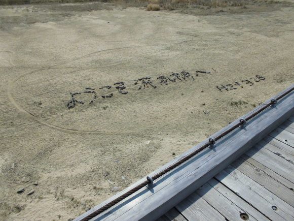 e0047608_20551460.jpg