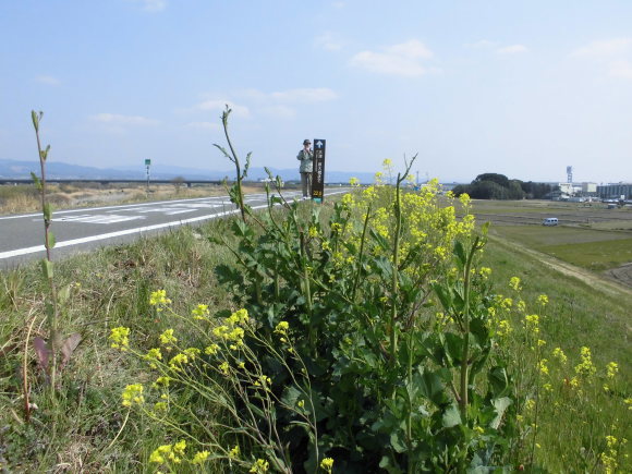 e0047608_20594515.jpg