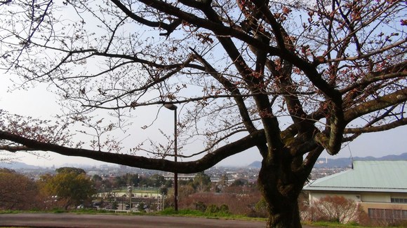 f0231709_004388.jpg