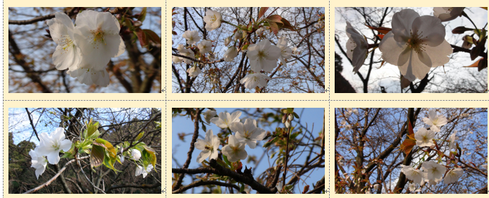 f0231709_011937.png