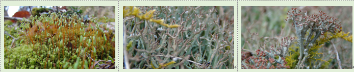 f0231709_1255585.png