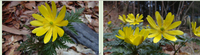 f0231709_12593348.png